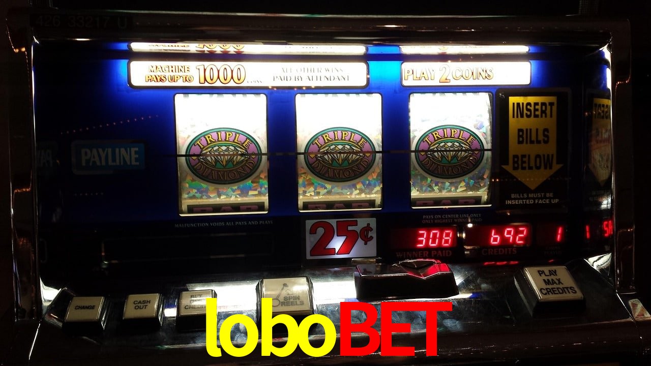Sports Statistics lobobet